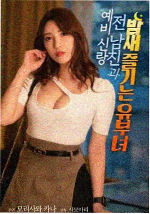 经典韩剧《双生回声》海报